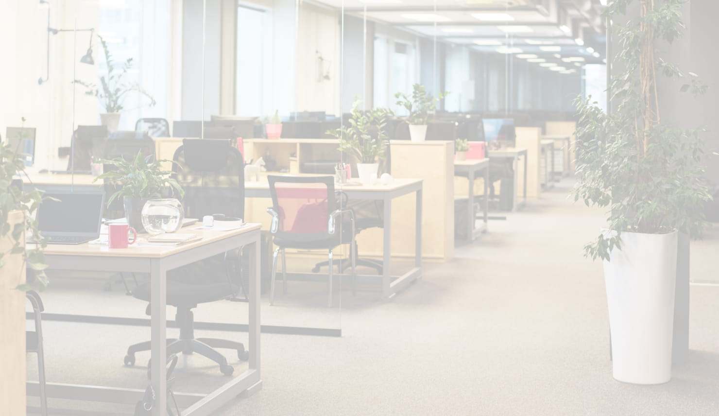 私たちについて